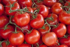 دراسة جديدة: الطماطم تساعد في علاج القاتل الصامت
