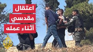 قوات الاحتلال تعتدي على أهالي بلدة سلوان بالقدس أثناء عملهم بقطف الزيت
